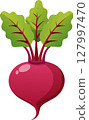 Simple and cute beet illustration 127997470