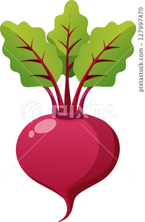 簡單可愛的甜菜插圖 127997470