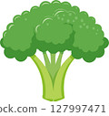 Simple and cute broccoli illustration 127997471