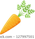 Simple and cute carrot illustration 127997501