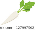 Simple and cute radish illustration 127997502