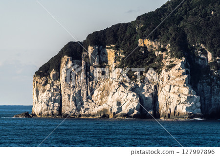 [Tokyo Kyushu Ferry bound for Mayu Shinmoji sails off the coast of Okinoshima in Kochi Prefecture] 127997896