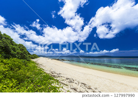 Okinawa Coast Okinawa Coast 127997990
