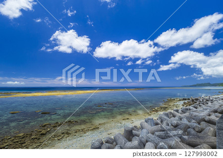 Okinawa Coast 127998002