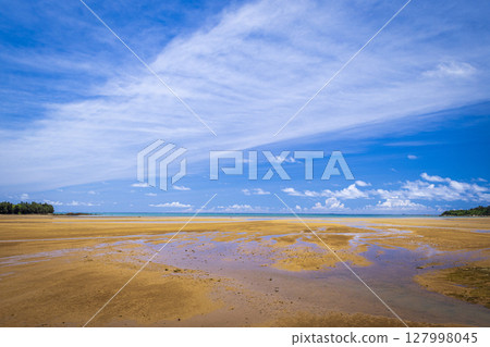 沖繩海岸 127998045