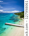 Okinawa Coast 127998061