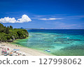 Okinawa Coast 127998062