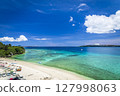 Okinawa Coast 127998063
