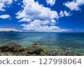 Okinawa Coast 127998064