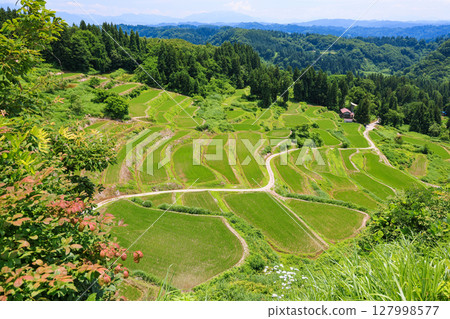 山谷外的梯田（上圖）1 127998577