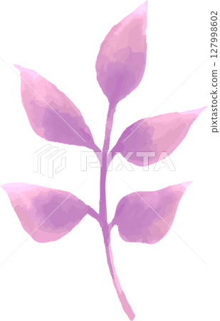 簡單可愛的植物向量插圖素材，帶有水彩風格的粉紅色和紫色的葉子 | 葉子，植物，樹枝，水彩，大自然 127998602