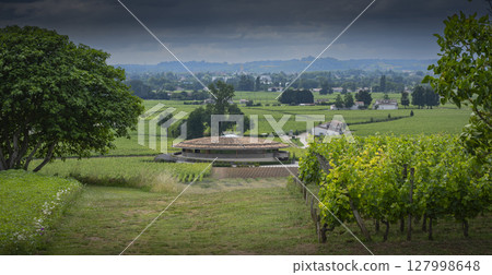 Vineyard in Bordeaux showcases the beauty of Saint-Emilion during springtime with Chateau Le Dome in Vineyard in Bordeaux showcases the beauty of Saint-Emilion during springtime with Chateau Le Dome in 127998648
