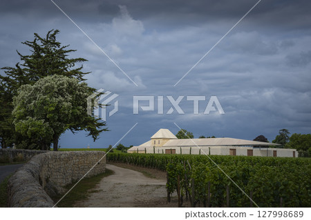 Springtime at Chateau Belair-Monnange in Saint-Emilion showcases Bordeaux vineyard under dramatic Springtime at Chateau Belair-Monnange in Saint-Emilion showcases Bordeaux vineyard under dramatic 127998689