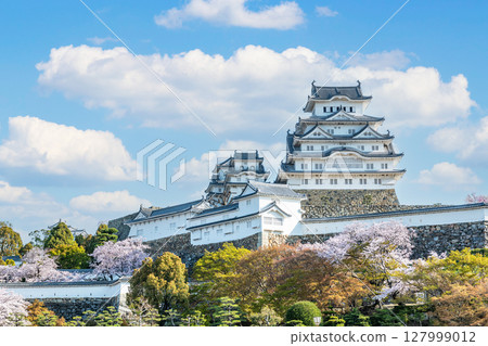 兵庫縣姬路市：國寶姬路城塔在春天被櫻花裝飾 127999012