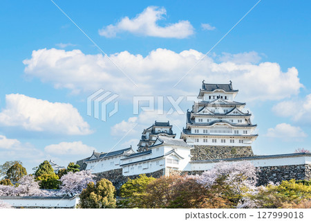 Himeji City, Hyogo Prefecture: The national treasure Himeji Castle tower decorated with cherry blossoms in spring 127999018