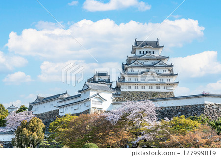 兵庫縣姬路市：國寶姬路城塔在春天被櫻花裝飾 127999019