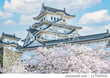 兵庫縣姬路市,國寶姬路城 櫻花盛開的春天的天守閣(近景) 兵庫縣姬路市,國寶姬路城 櫻花盛開的春天的天守閣(近景) 127999026