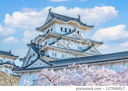 Himeji City, Hyogo Prefecture: Close-up of the national treasure Himeji Castle tower decorated with cherry blossoms in spring 127999027