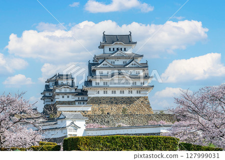 Himeji City, Hyogo Prefecture: The national treasure Himeji Castle tower decorated with cherry blossoms in spring 127999031