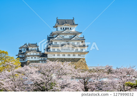 Himeji City, Hyogo Prefecture: The national treasure Himeji Castle tower decorated with cherry blossoms in spring Himeji City, Hyogo Prefecture: The national treasure Himeji Castle tower decorated with cherry blossoms in spring 127999032