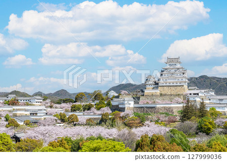 兵庫縣姬路市:春天盛開的櫻花裝飾的姬路城塔(遠景) 兵庫縣姬路市:春天盛開的櫻花裝飾的姬路城塔(遠景) 127999036