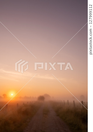 Experience the serene beauty of a stunning sunrise illuminating a misty field road Experience the serene beauty of a stunning sunrise illuminating a misty field road 127999112