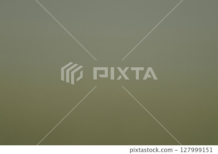 Olive green and moss gray gradient background Olive green and moss gray gradient background 127999151