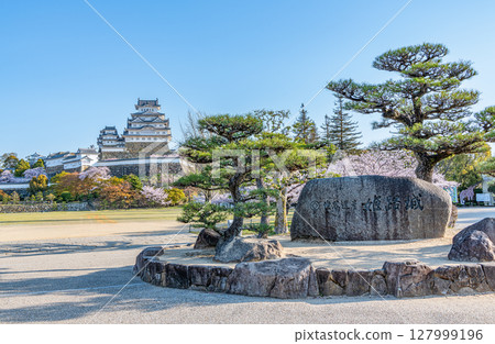 兵庫縣姬路市，國寶姬路城天守閣，晴朗的日子裡，美麗的櫻花盛開，刻有城堡名稱的石匾 127999196