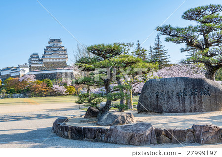 兵庫縣姬路市，國寶姬路城天守閣，晴朗的日子裡，美麗的櫻花盛開，刻有城堡名稱的石匾 127999197