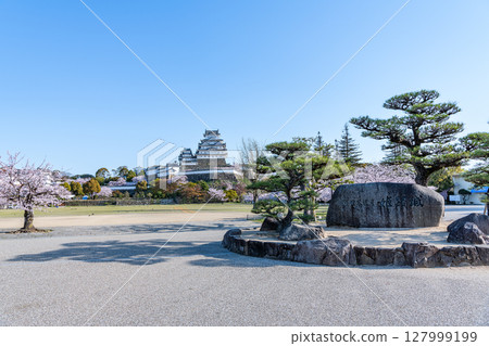 兵庫縣姬路市,國寶姬路城天守閣,晴朗的日子裡,美麗的櫻花盛開,刻有城堡名稱的石匾 兵庫縣姬路市,國寶姬路城天守閣,晴朗的日子裡,美麗的櫻花盛開,刻有城堡名稱的石匾 127999199