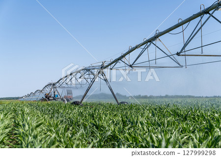 Agricultural pivot irrigation system on a corn field 127999298