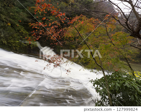Yoro Valley and Yoro River in late autumn Awamata Waterfall, Isumi, Japan Yoro Valley and Yoro River in late autumn Awamata Waterfall, Isumi, Japan 127999824