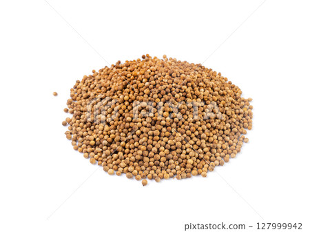 Coriander Seeds Isolated, Cilantro Grains, Chinese Parsley Seed Group, Dry Spices, Seasonings 127999942