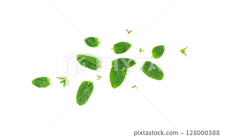 Wet mint leaves isolated. Peppermint leaf with water drops, green fresh mint, menthol plant Wet mint leaves isolated. Peppermint leaf with water drops, green fresh mint, menthol plant 128000388