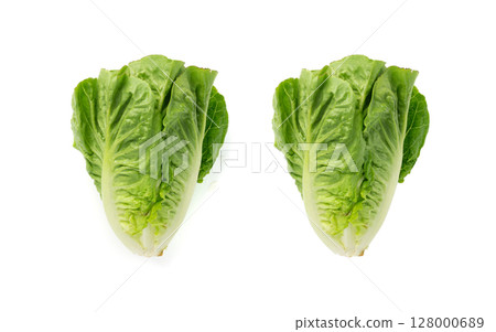 One romaine lettuce salad isolated. Cos green leaves, fresh romain salat head, raw cabbage 128000689