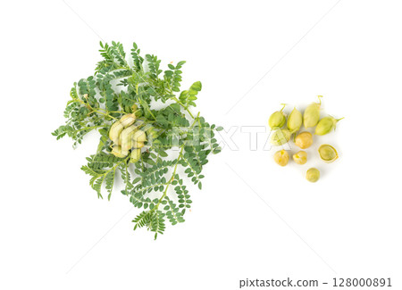 Fresh chickpea leaves and pods isolated. Green shoots and twigs of a legume plant 128000891