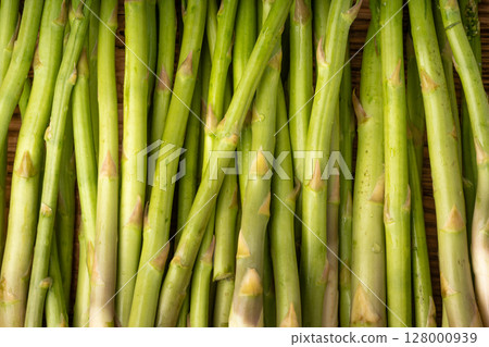 Bunch of Raw Garden Asparagus Textured Background. Fresh Green Spring Vegetables Bunch of Raw Garden Asparagus Textured Background. Fresh Green Spring Vegetables 128000939