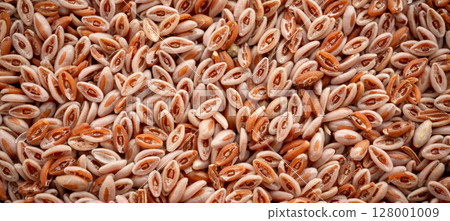 Plantago Ovata Seeds Isolated, Psyllium Husk, Isabgol Ispaghula Plantago Ovata Seeds Isolated, Psyllium Husk, Isabgol Ispaghula 128001009