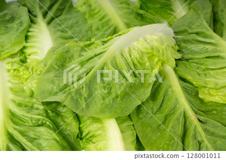 One romaine lettuce salad texture backgroound. Cos green leaves pattern, fresh romain salat One romaine lettuce salad texture backgroound. Cos green leaves pattern, fresh romain salat 128001011
