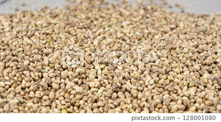 Hemp seeds, cannabis grains, marijuana kernels, oil hempseeds pile 128001080