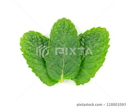 Mint leaves isolated. Peppermint leaf set, green fresh mint, spearmint menthol plant close up Mint leaves isolated. Peppermint leaf set, green fresh mint, spearmint menthol plant close up 128001093