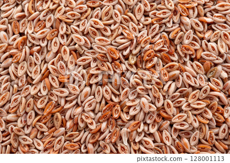 Plantago Ovata Seeds Isolated, Psyllium Husk, Isabgol Ispaghula 128001113
