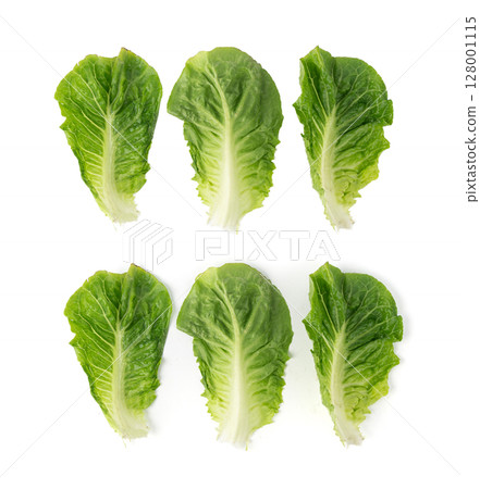 Romaine lettuce salad leaves isolated. Cos green leaves, fresh romain salat, raw romaine cabbage 128001115