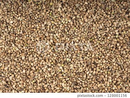 Hemp seeds, cannabis grains, marijuana kernels, oil hempseeds pile 128001156