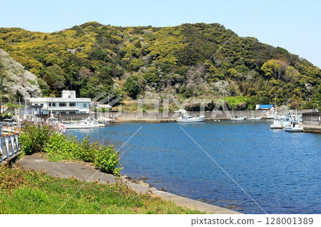 Izu Peninsula, Minamiizu Town, Teishi Port Izu Peninsula, Minamiizu Town, Teishi Port 128001389
