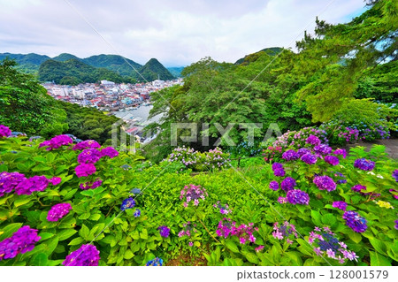 Shimoda Ajisai Festival 128001579