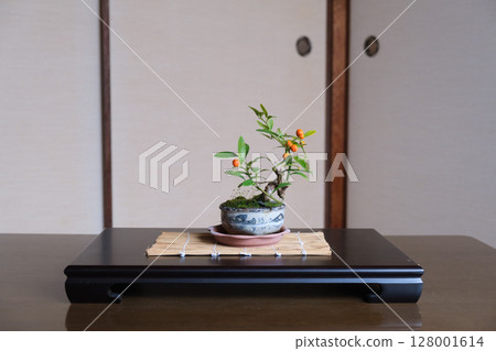Bonsai (Kinzu) 128001614