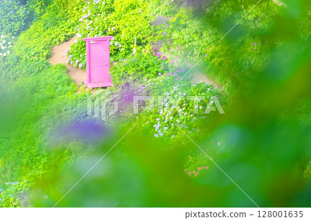 下田Ajisai節 128001635