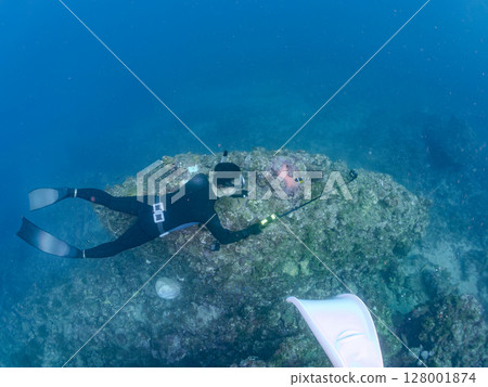 A group of bleached sea anemones, a pair of clownfish, a school of blue-green damselfish, and others. There are also skin divers. Hirizo Beach 128001874