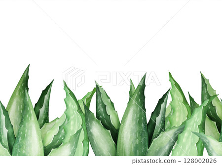 Hand-Drawn Aloe Vera Leaf Seamless Border 128002026